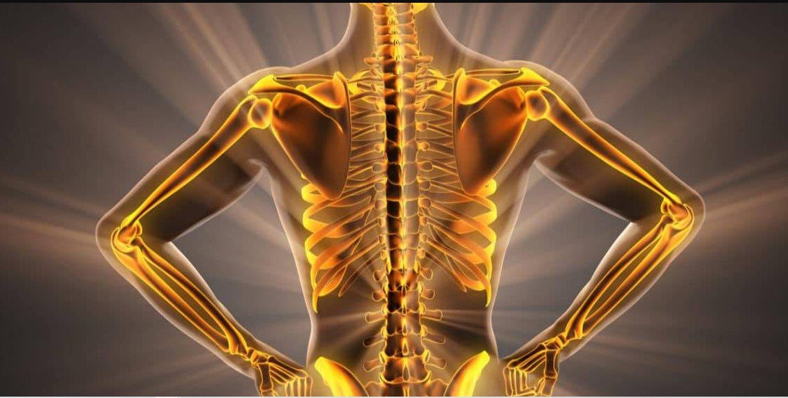 How to Build Strong Bones to Prevent Fracture?