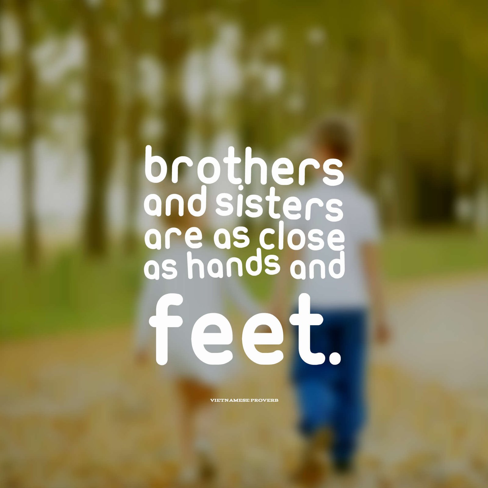 Beautiful brother sister quotes to show their love