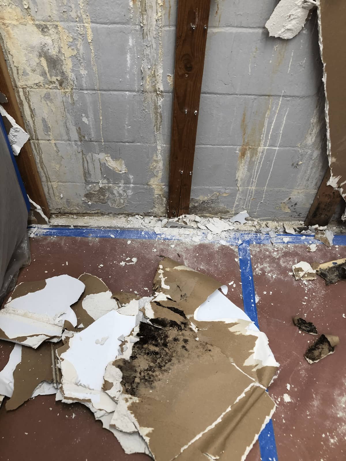 Mold in the apartment