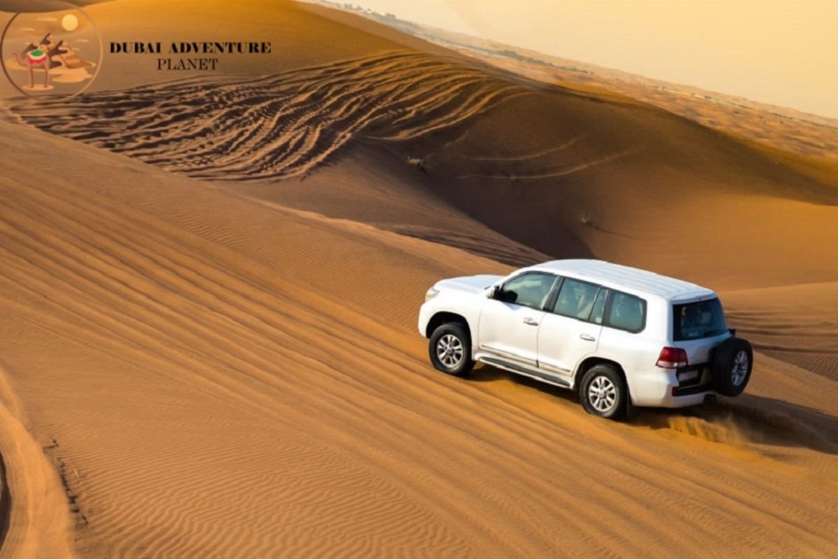 Why visit desert safari?