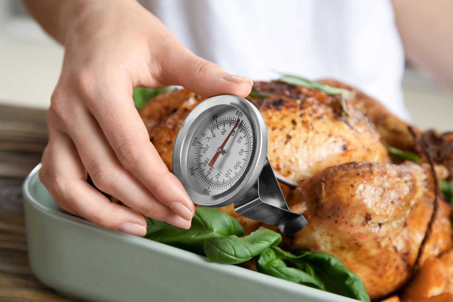 These Are a Few Reasons Why One Needs a Meat Thermometer
