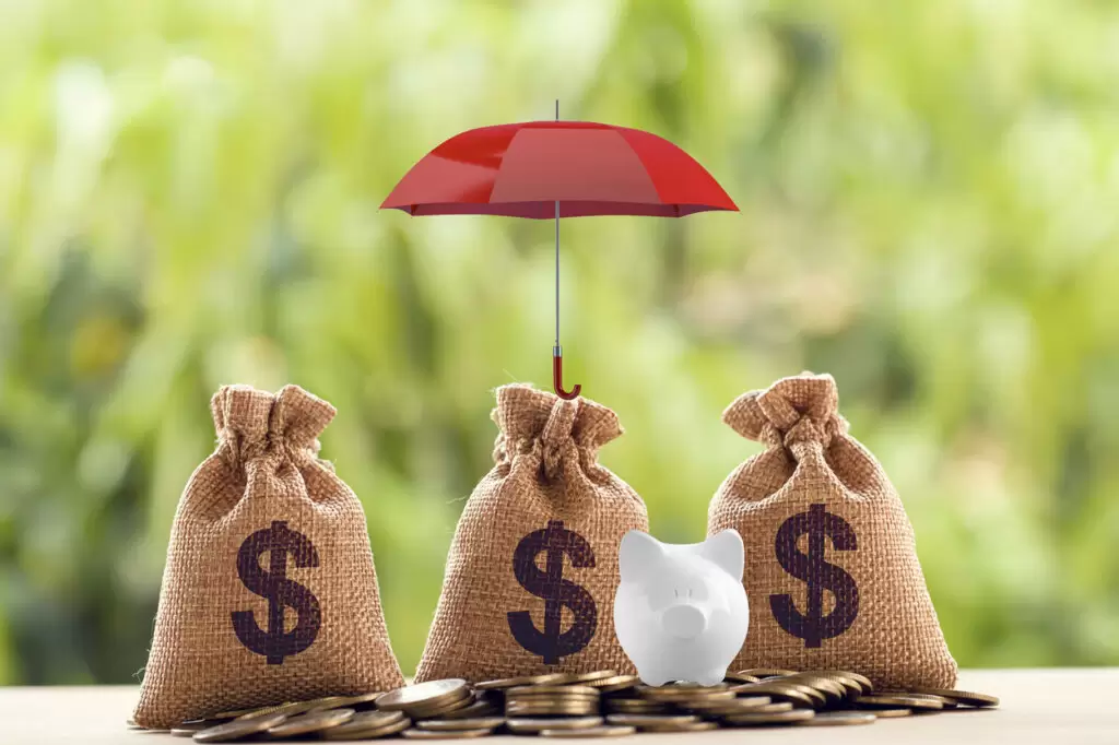 Protect Your Investment
