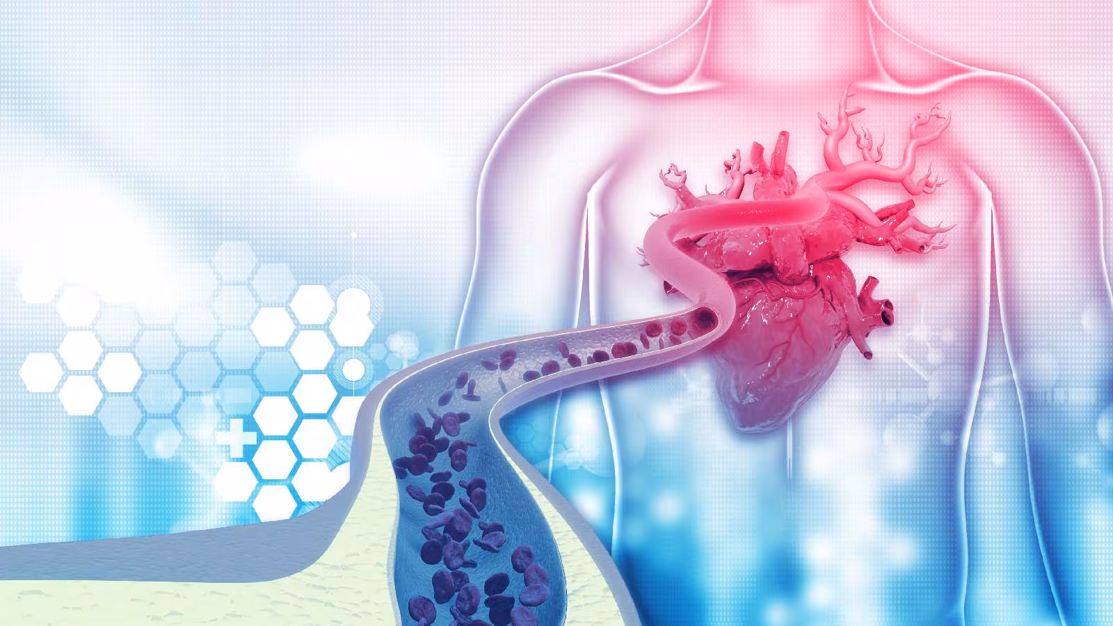 7 Ways to Enhance Circulation for Better Nerve Function 