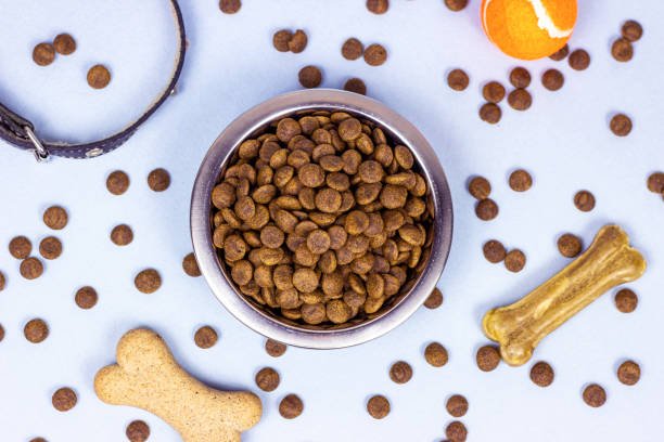Pet Food Online