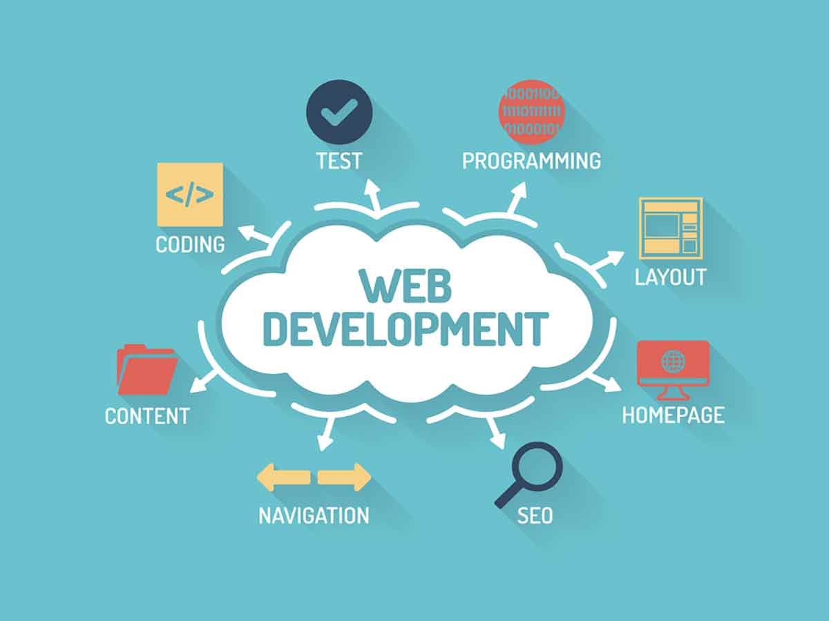 Why Your Business Needs a Professional Website: Insights from a Leading Website Development Company in Jaipur