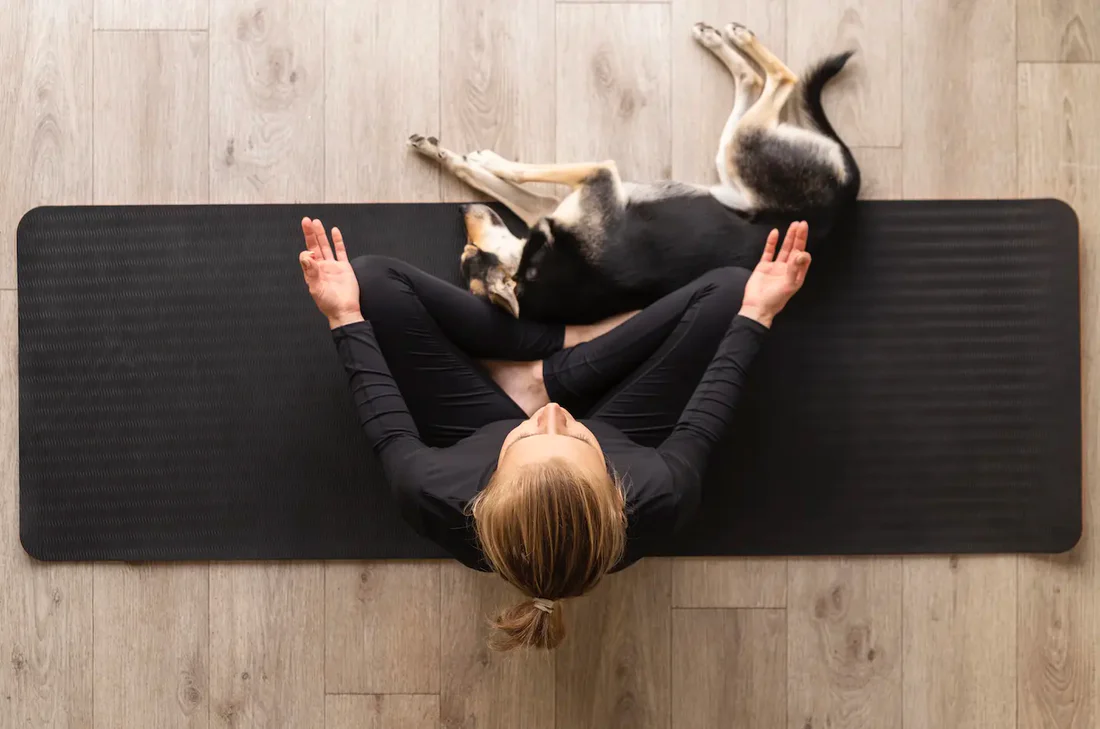 Harness Earth’s Healing Electricity: How Indoor Grounding Can Transform Your Health