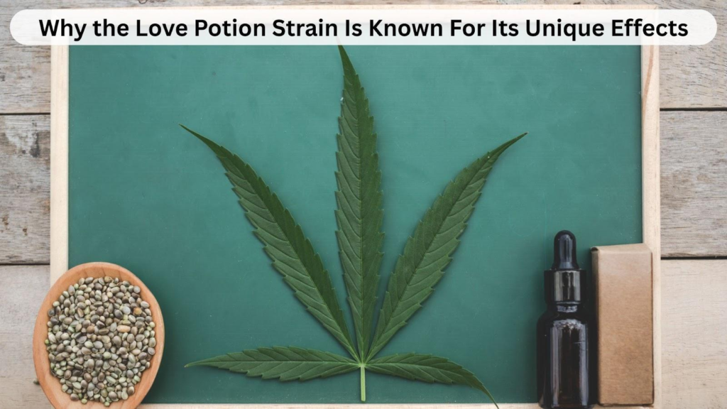 Love Potion Strain