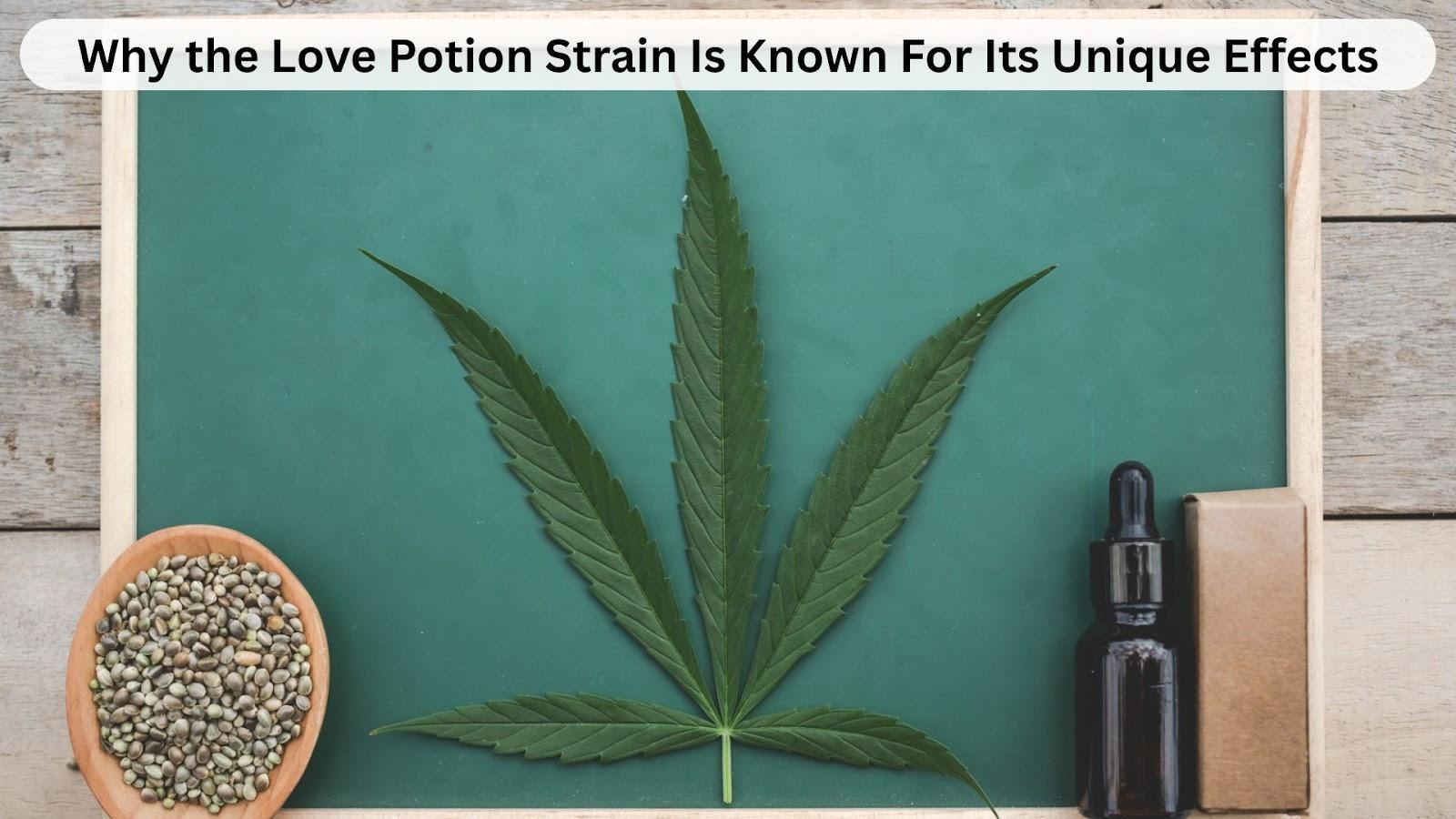 Why the Love Potion Strain Is Known For Its Unique Effects