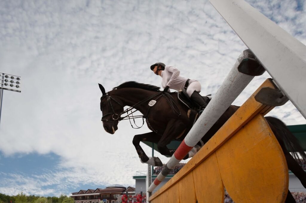 Horse Racing Bets
